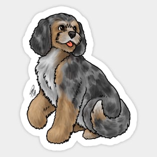 Dog- Cockapoo - Blue Merle Sticker